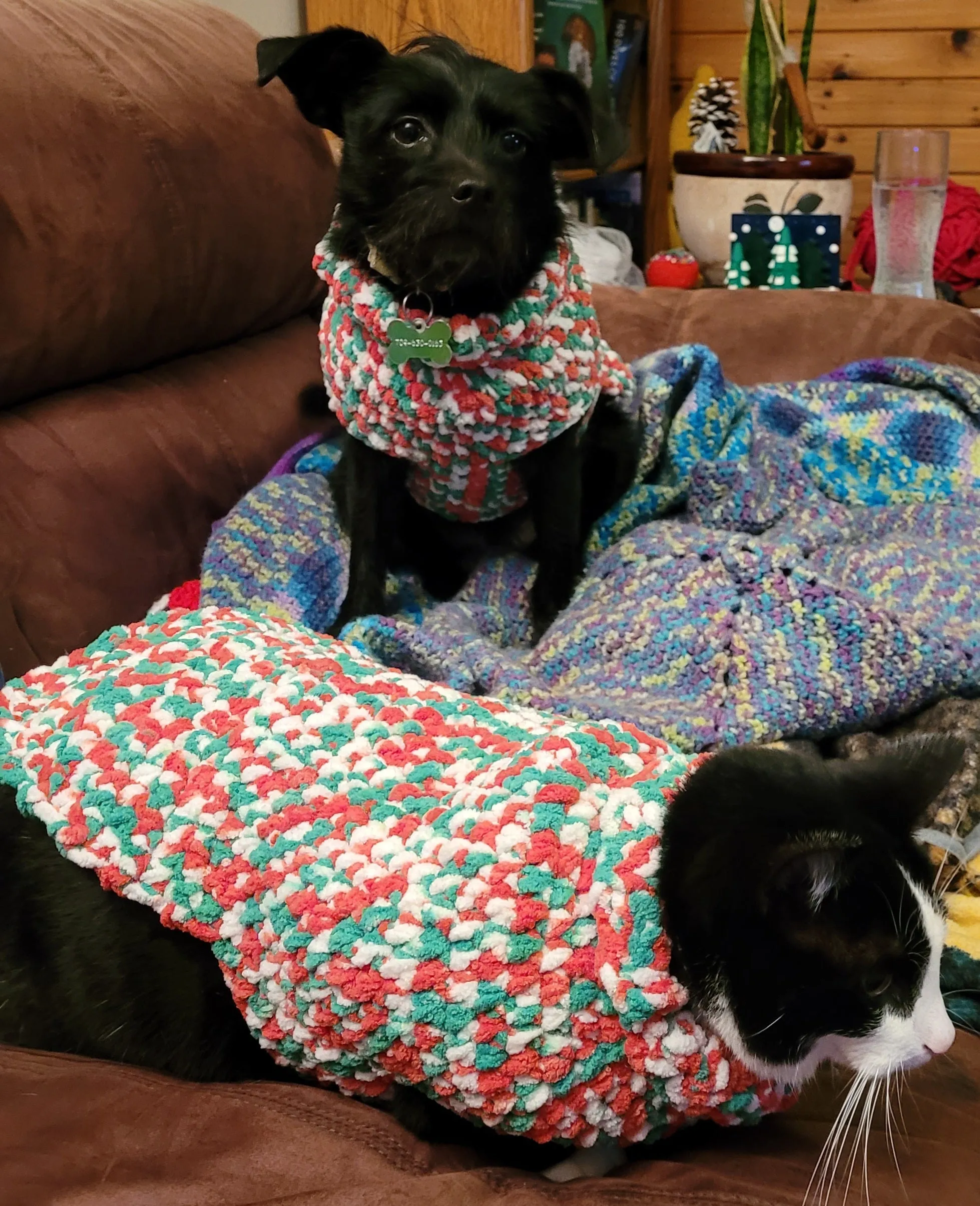 Custom Pet Sweaters