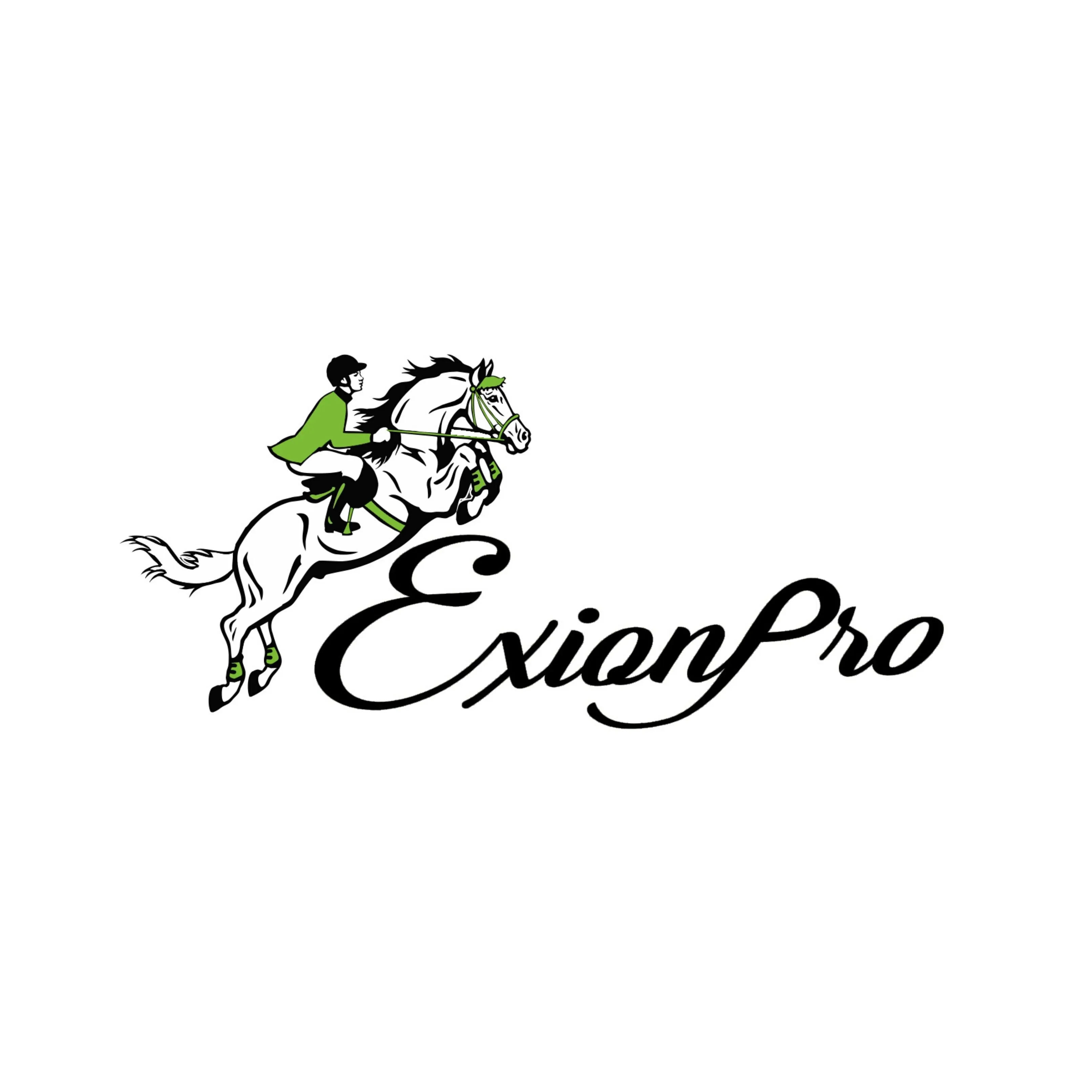 ExionPro Brass Clincher Belts