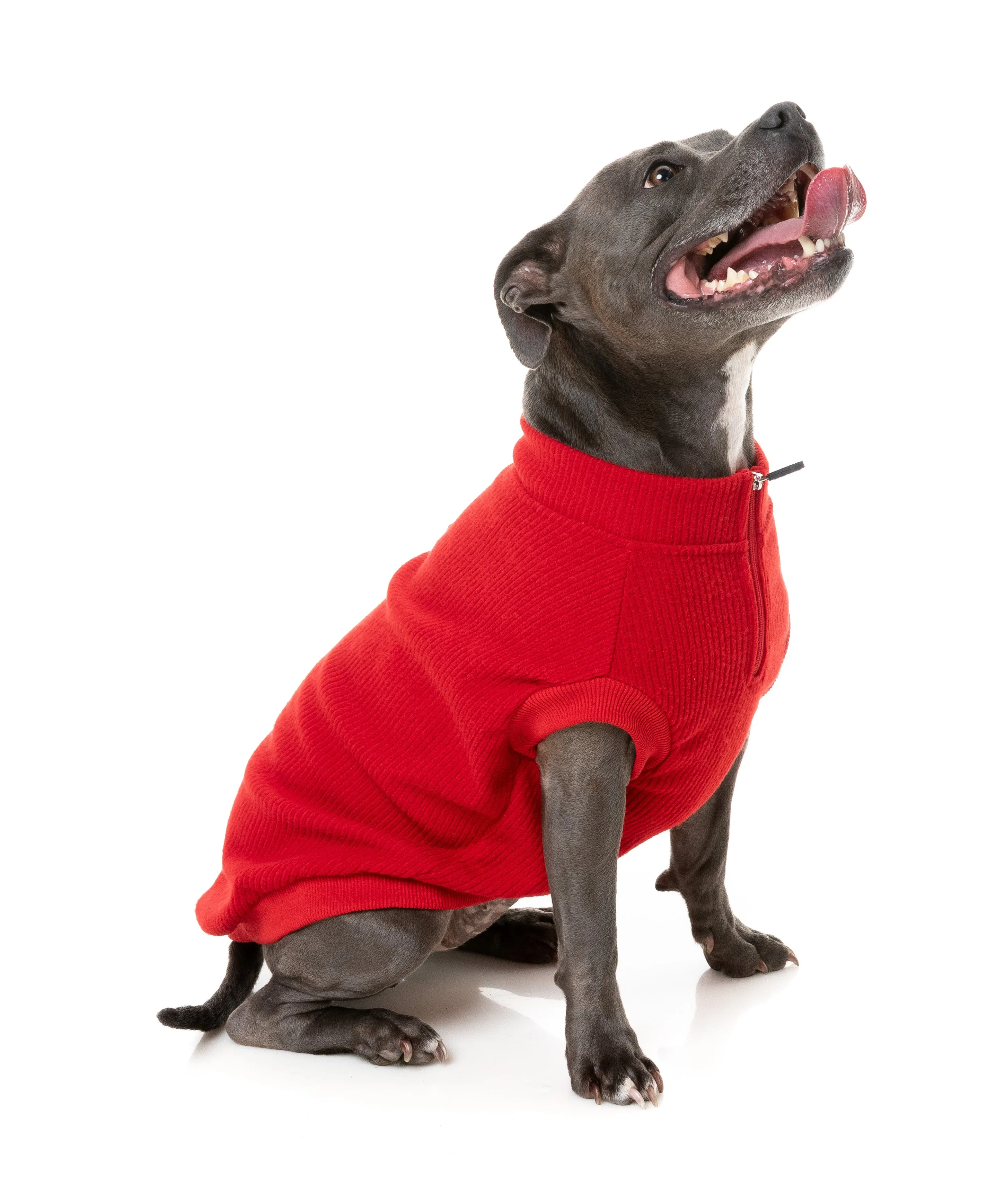 FuzzYard Cambridge Dog Sweater Red