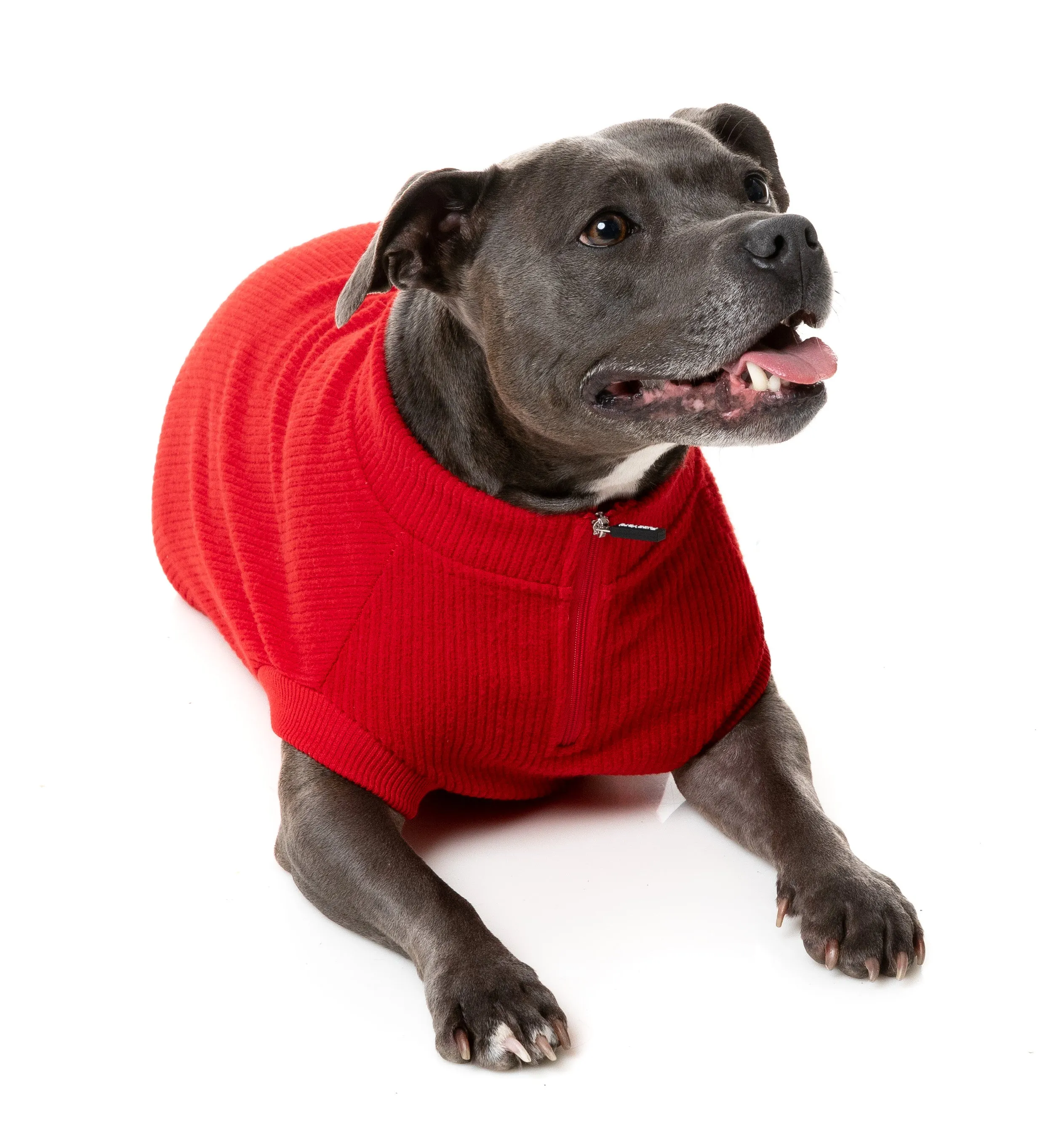 FuzzYard Cambridge Dog Sweater Red