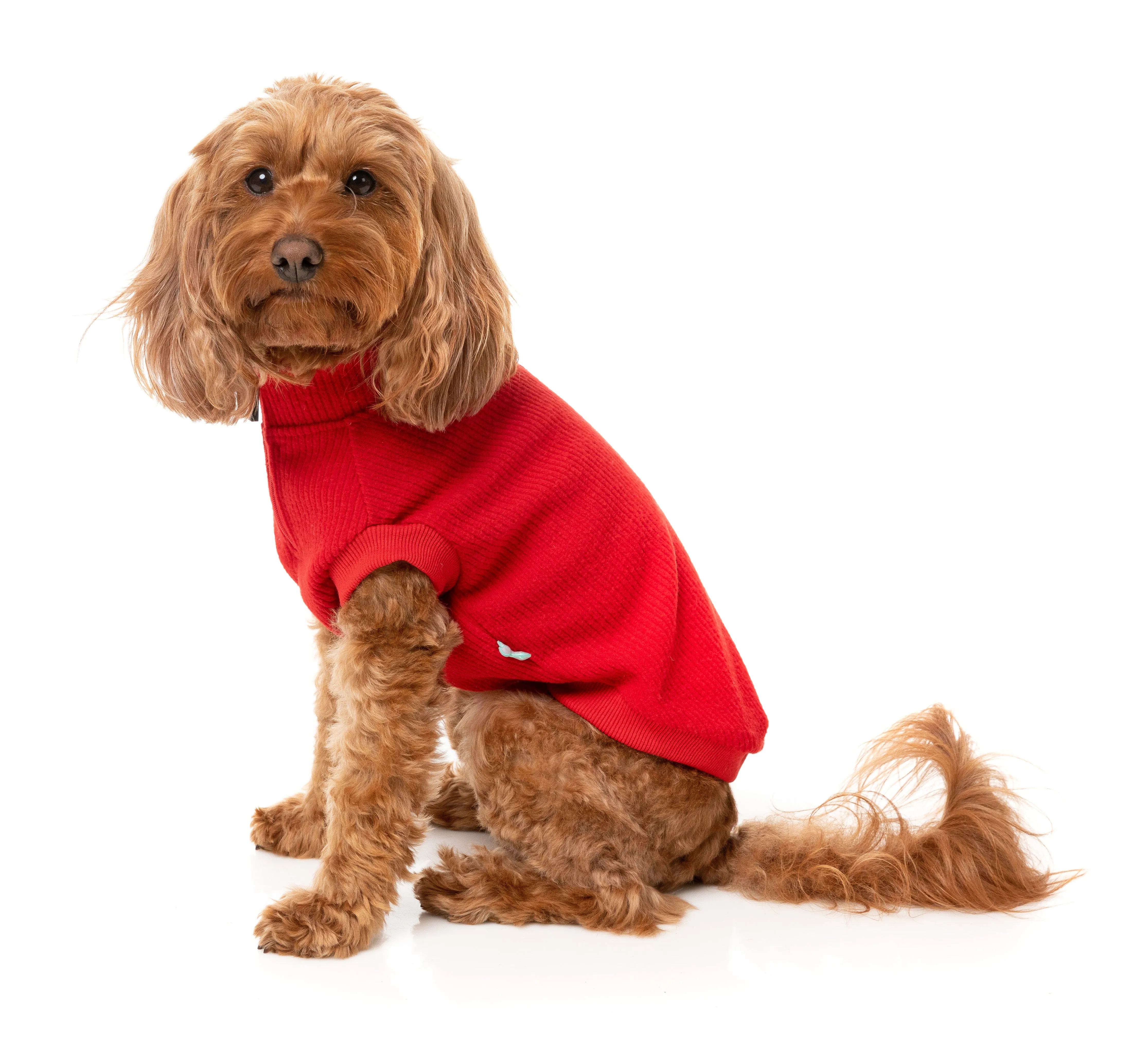 FuzzYard Cambridge Dog Sweater Red