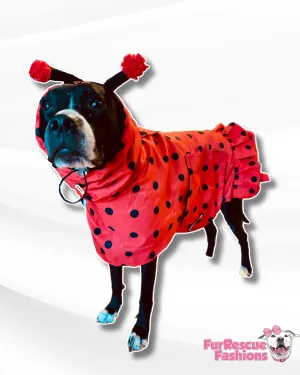 Lady Bug Reversible Rain Jacket Or Cape with Ruffles