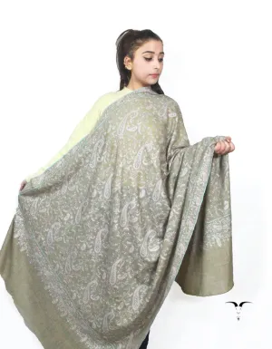 Natural Pashmina Shawl With Sozni Work 5694