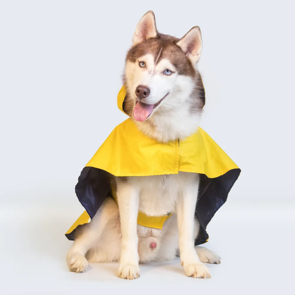 Pet Set Go Cape Style Raincoat for Dogs (Yellow)