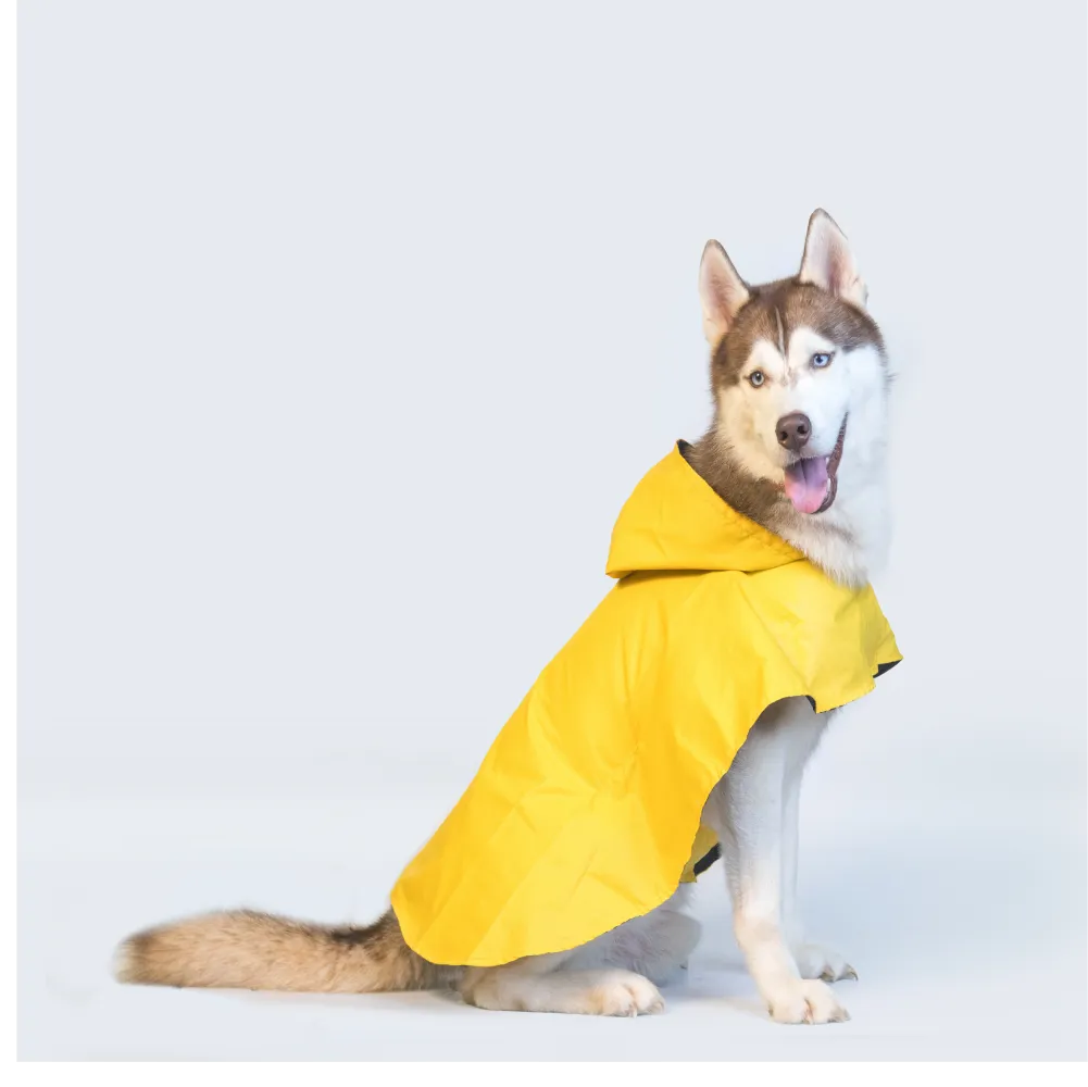 Pet Set Go Cape Style Raincoat for Dogs (Yellow)