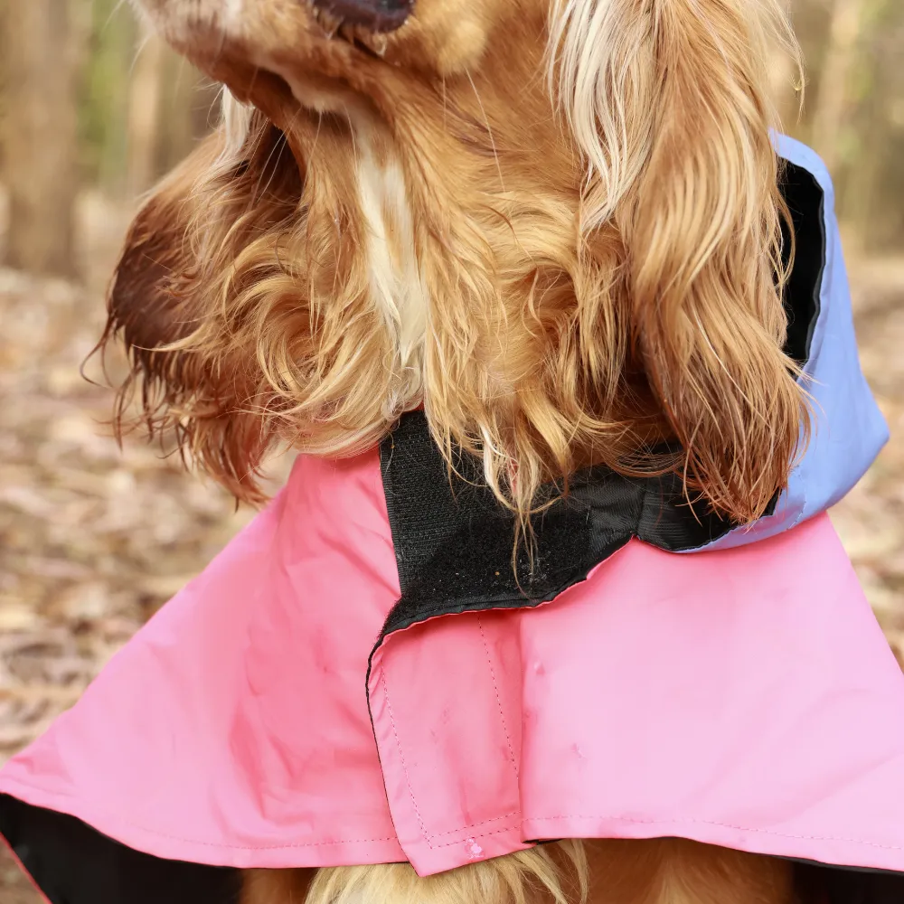 Pet Set Go Dual Colour Cape Style Raincoat for Dogs (Pink)