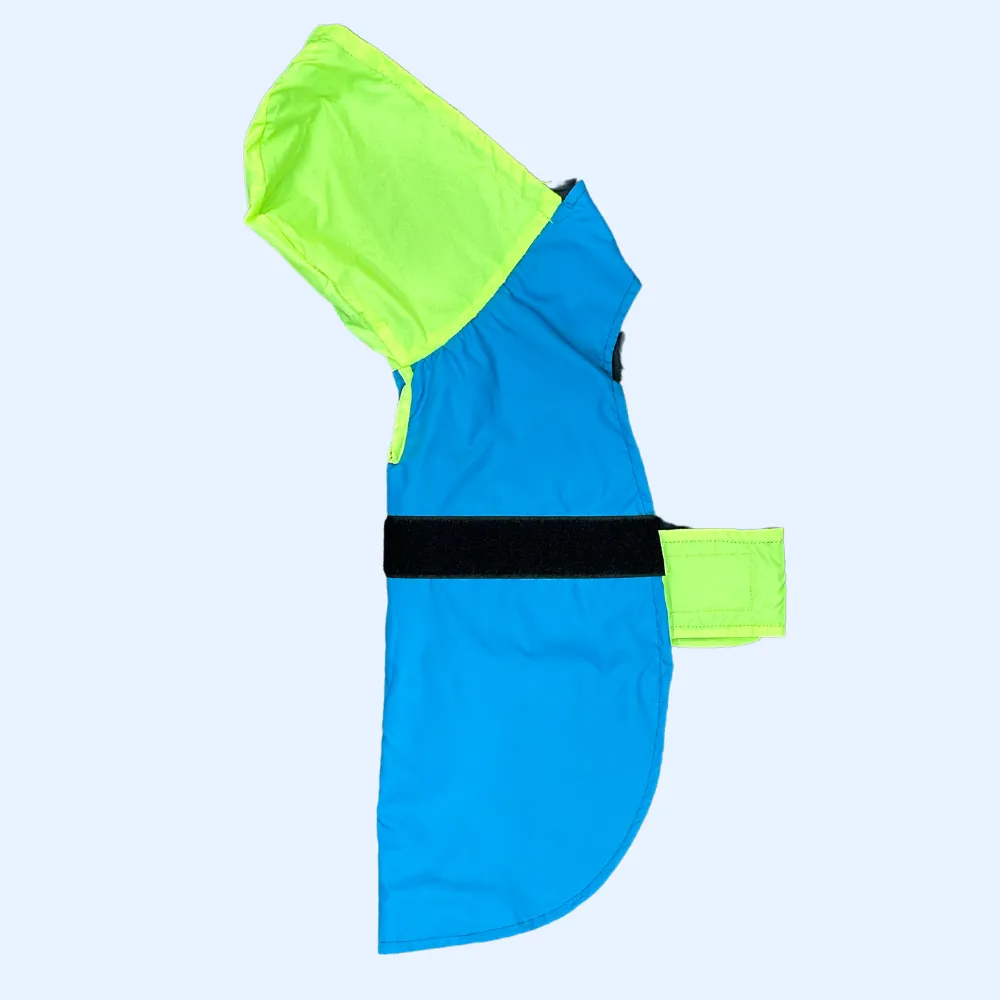 Pet Set Go Splash Waterproof Raincoat for Dogs (Neon Blue)