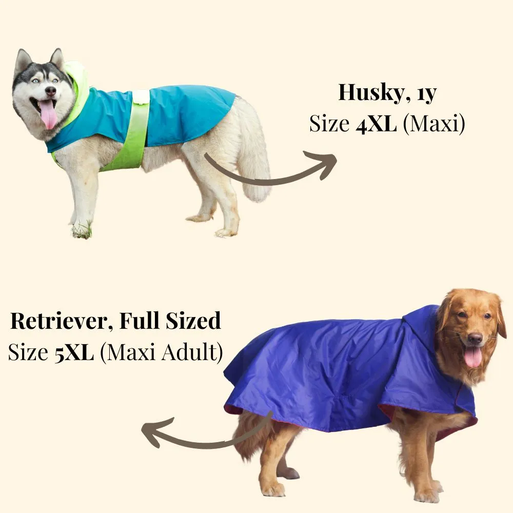 Pet Set Go Splash Waterproof Raincoat for Dogs (Neon Blue)