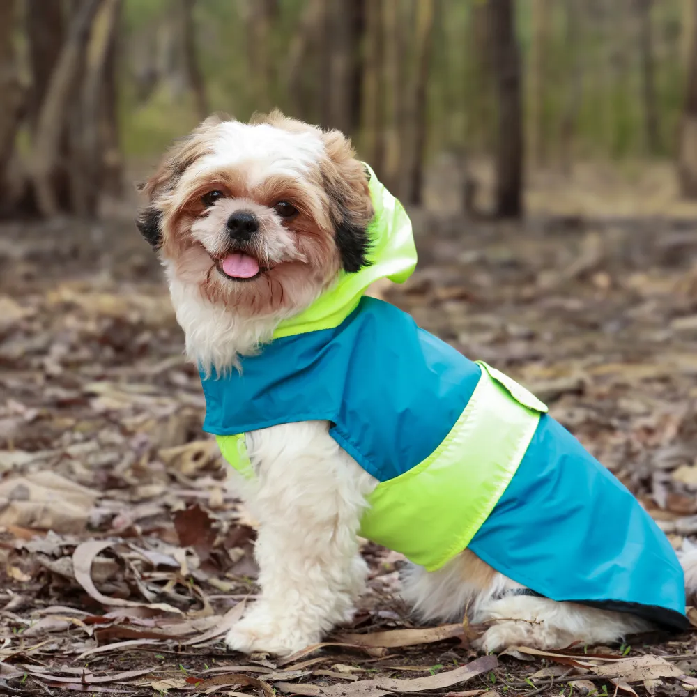 Pet Set Go Splash Waterproof Raincoat for Dogs (Neon Blue)