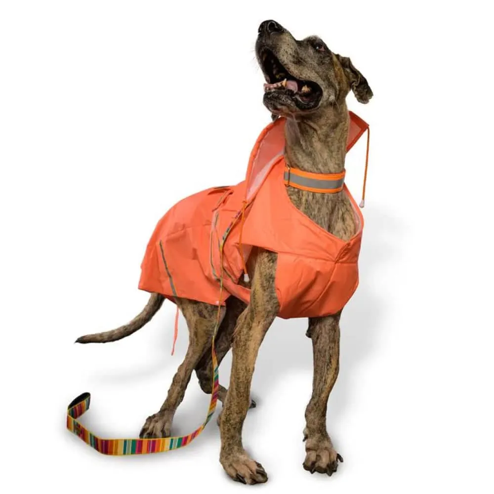 PetWale Reflective Raincoat for Dogs (Orange)