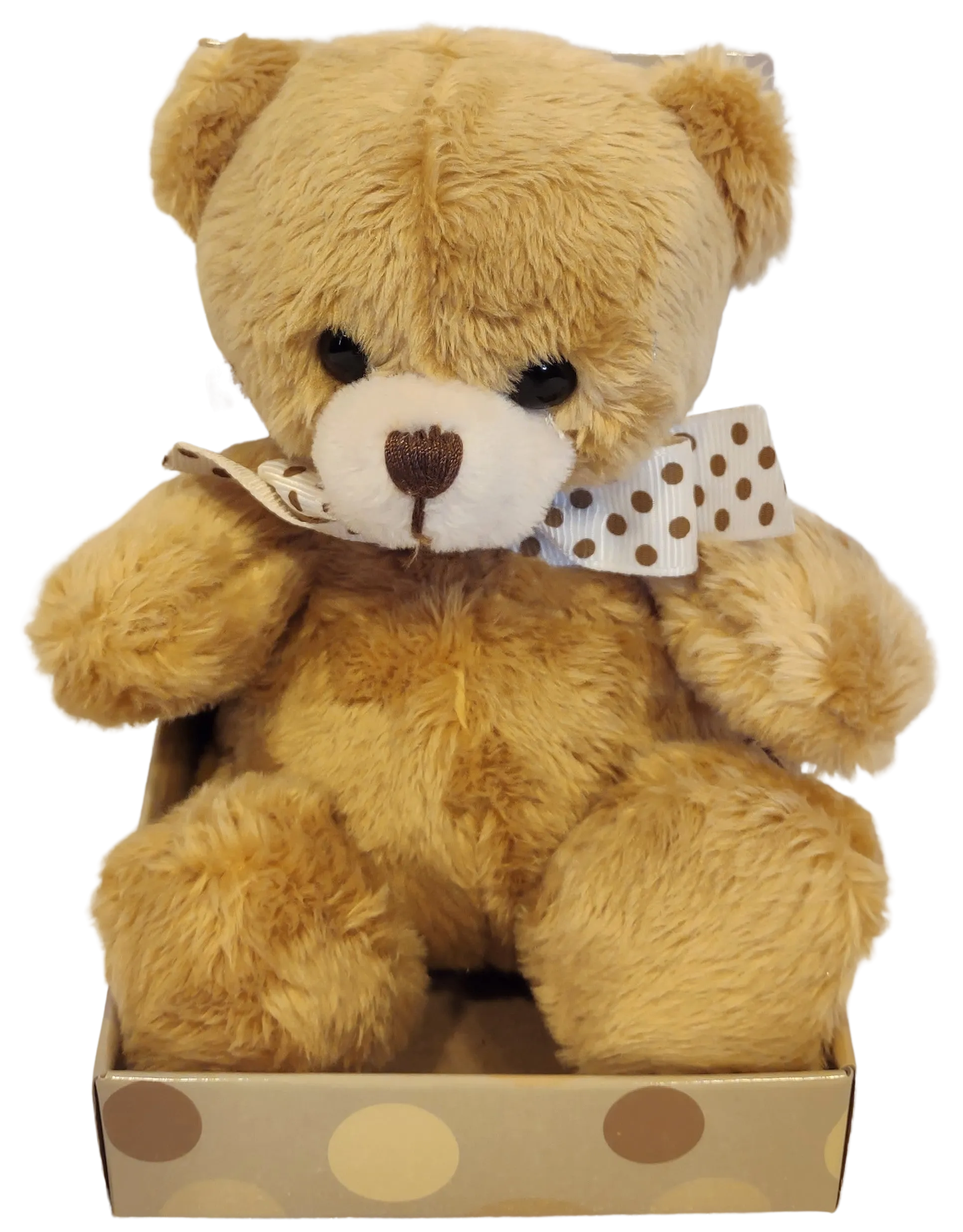 Sitting Plush Bears with Polka Dot Bow Tie in Novelty Box Assorted Colors 4.5"