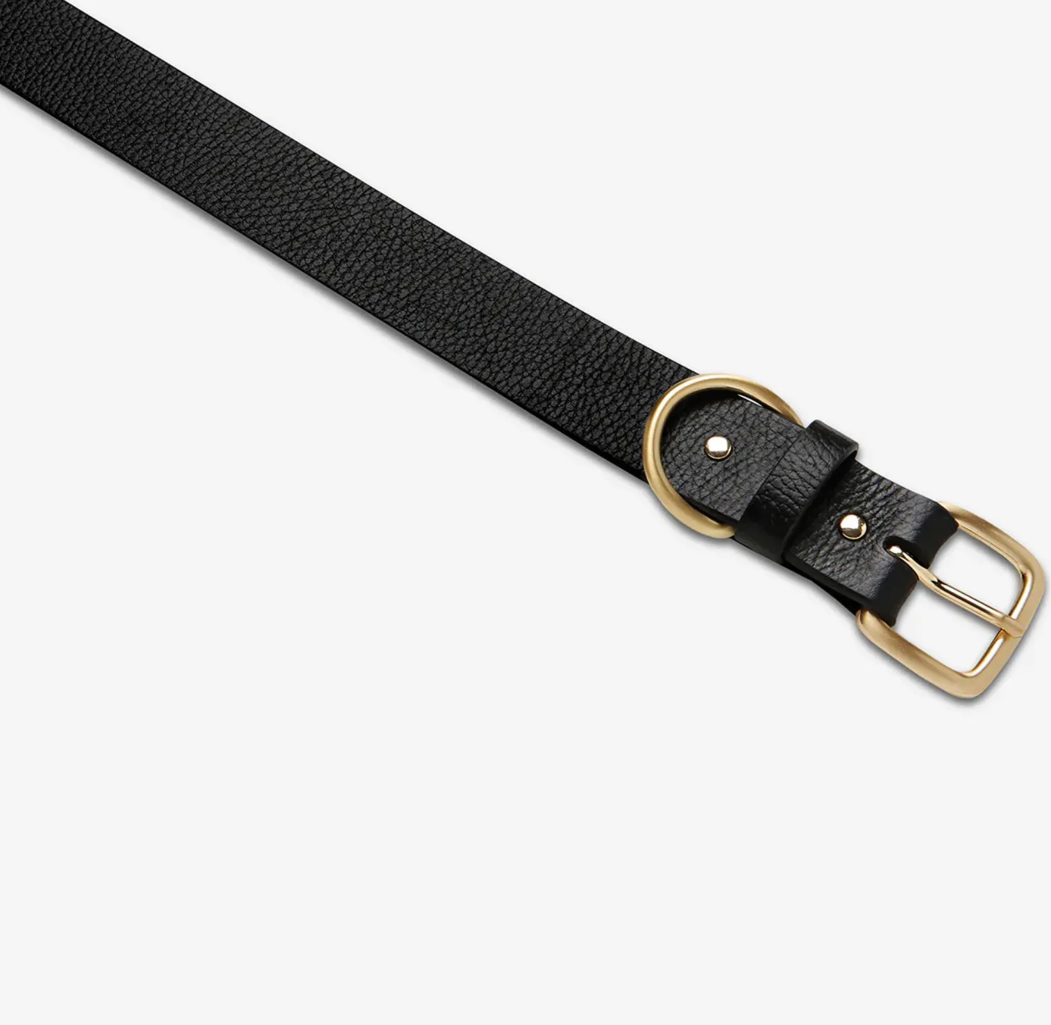 STATUS ANXIETY - Disarm Belt - Black/Gold