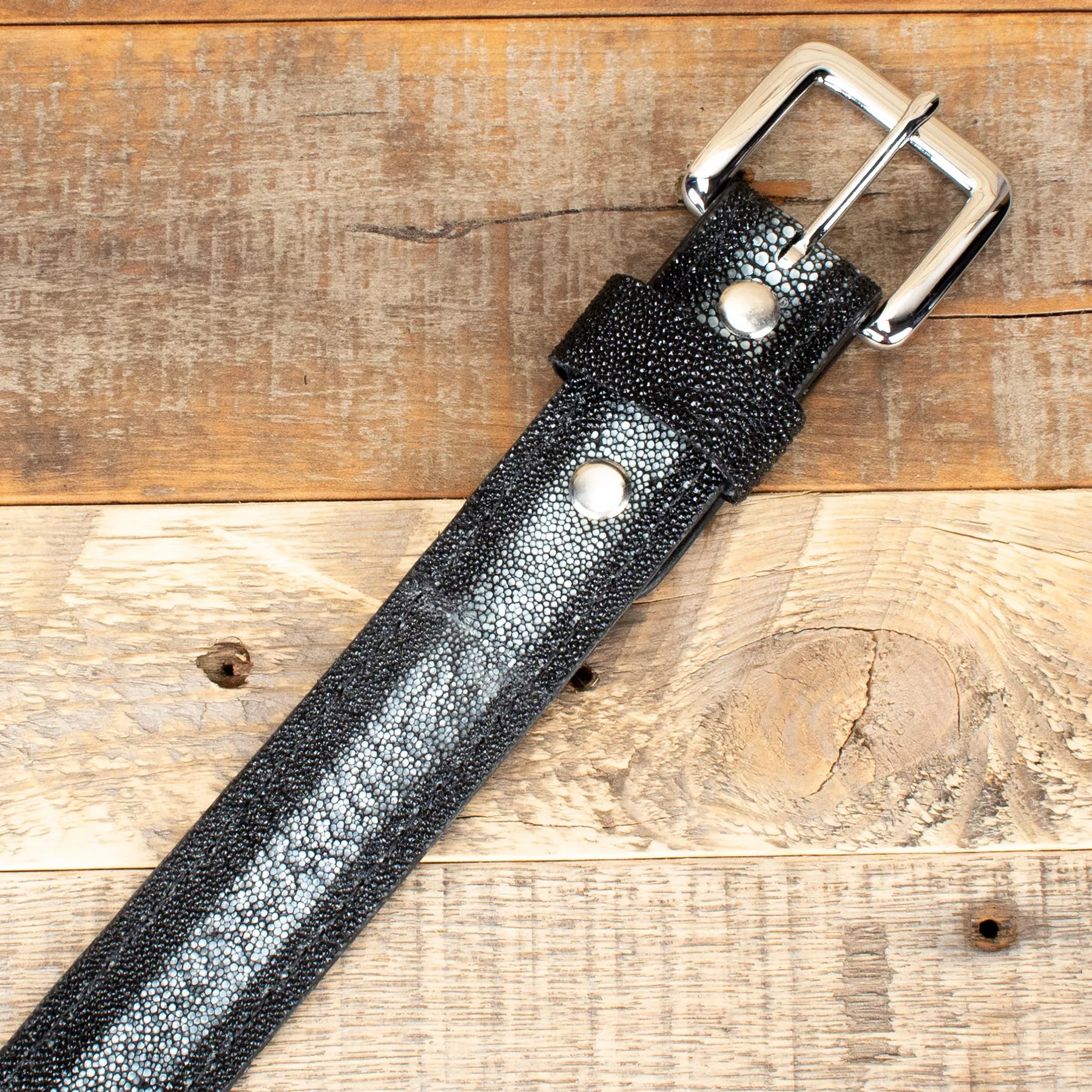 Stingray Black Belt